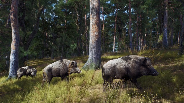 Way of the Hunter - Matariki Park screenshot 2
