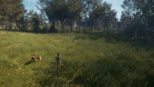 theHunter: Call of the Wild™ - Bloodhound