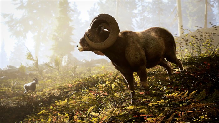 Hunting Simulator 3 — скриншот 3