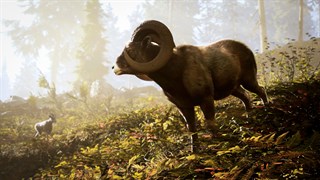 Hunting Simulator 3 - Apex Predator Edition screenshot 5