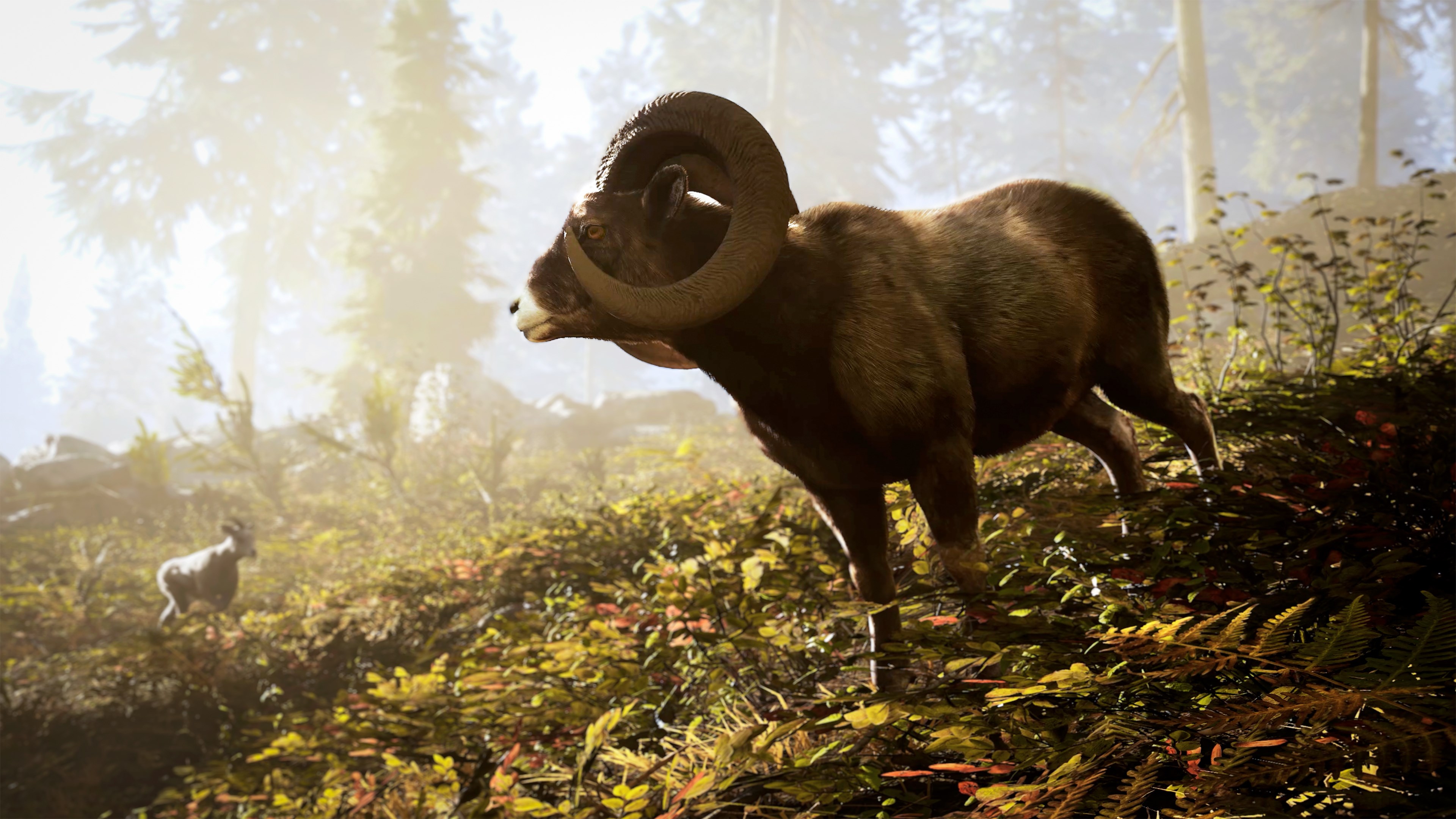 Hunting Simulator 3 | Xbox | Privato