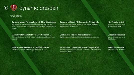Dynamo Dresden screenshot 1