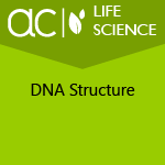 AC Life Science: DNA Structure