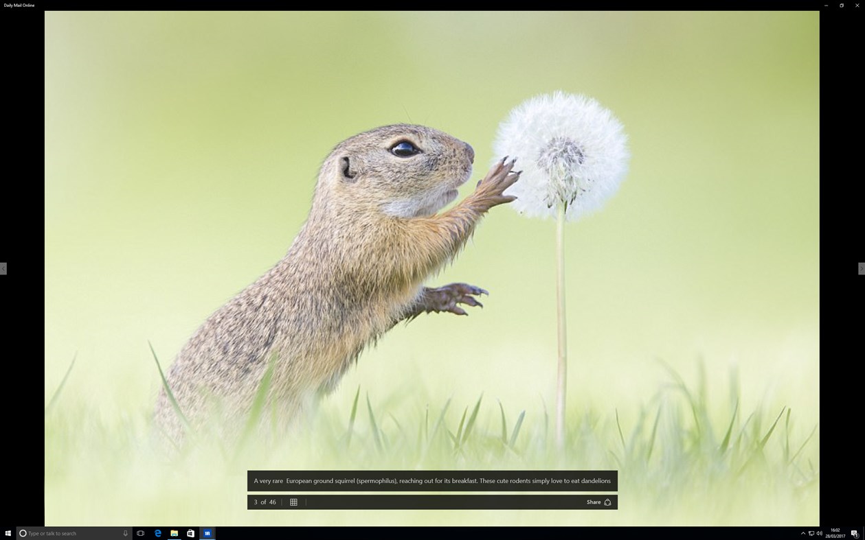 #5. Daily Mail Online (Windows) Bởi: Associated Newspapers Ltd.