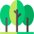 Forest HD Wallpaper