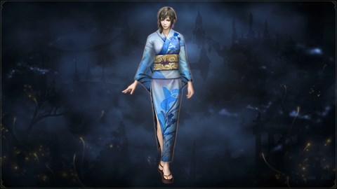 WARRIORS OROCHI 4: Bonus Costume for Wang Yi