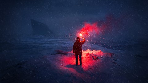 WILL: Follow The Light