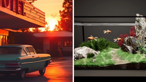 Sunset Aquarium Bundle