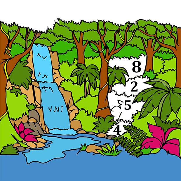 Nature Color By Number - Adult Coloring Book