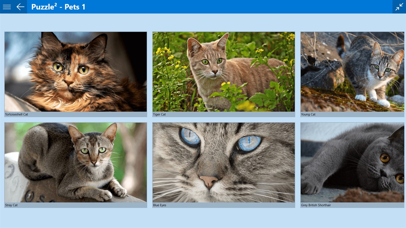 #2. Puzzle² - Pets 1 (Windows) 来自: fonaps.com