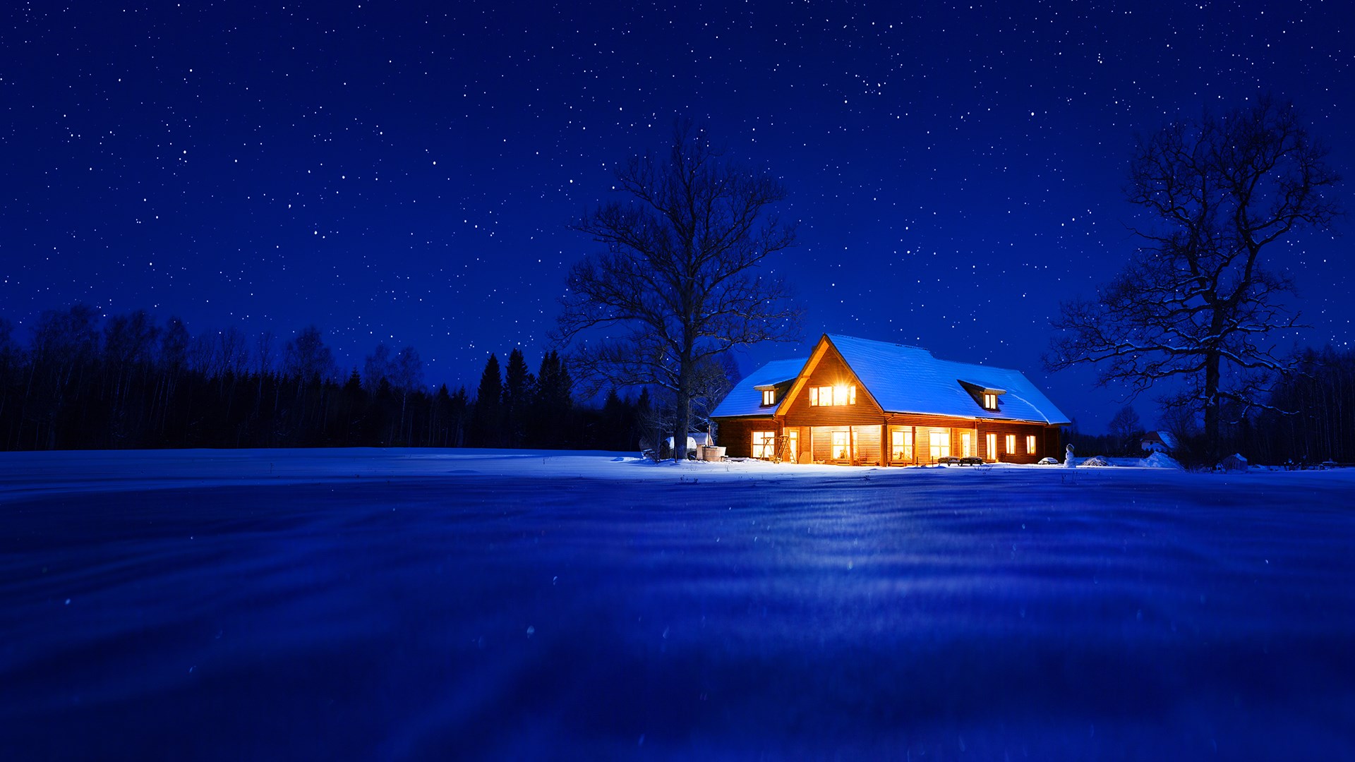 Get Warm Winter Nights - Microsoft Store