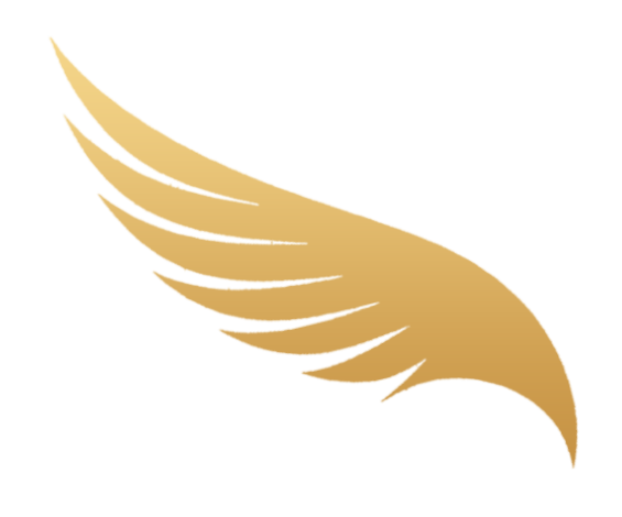 Skyfury Desktop Client