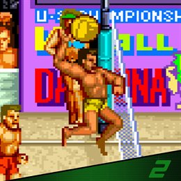 Aperçu Arcade Archives 2 V'BALL