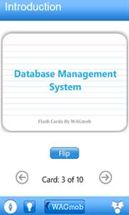 Database Management System screenshot 7