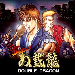 Aperçu Super Double Dragon