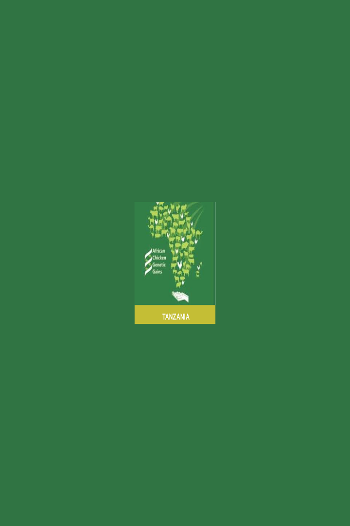 Smallholder Poultry Feed App - Tanzania