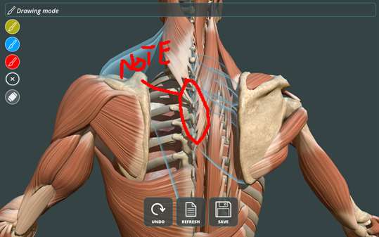 Visual Anatomy 3D | Human for Windows 10 PC Free Download - Best