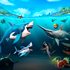 Hungry Shark World