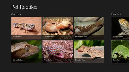 Pet Reptiles screenshot 1