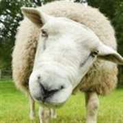 apps.15824.13713077662583092.4ce97e6d-cf78-4ab4-9832-71763c87ed2b.66d7dc03-35fe-4e2e-8608-90a610ed2654