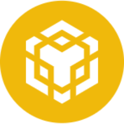 BNB Price Tracker icon