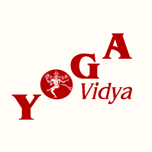 Yoga Vidya