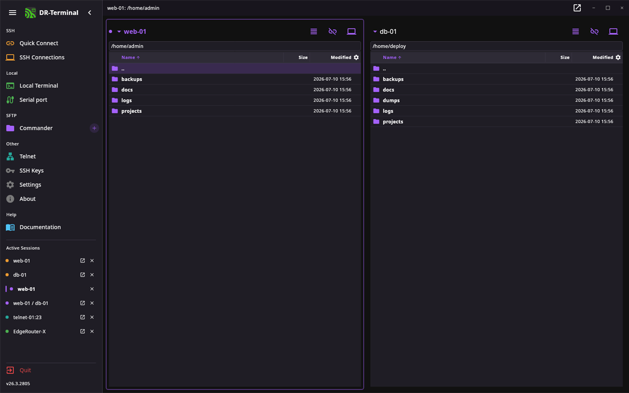 #6. DR-Terminal (Windows) di: DR-Online