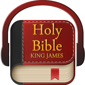 Bible:NIV Holy Bible