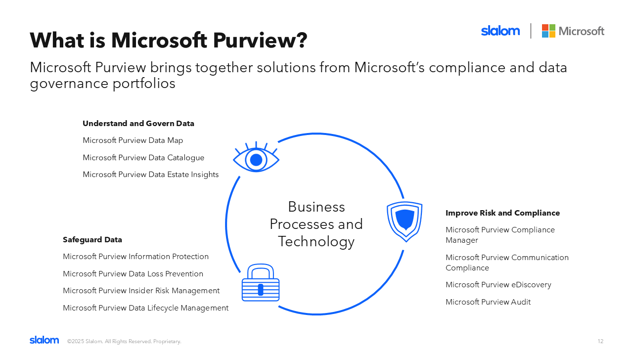 Snapshot 1 of Introducing Microsoft Purview: 2 Hour Workshop