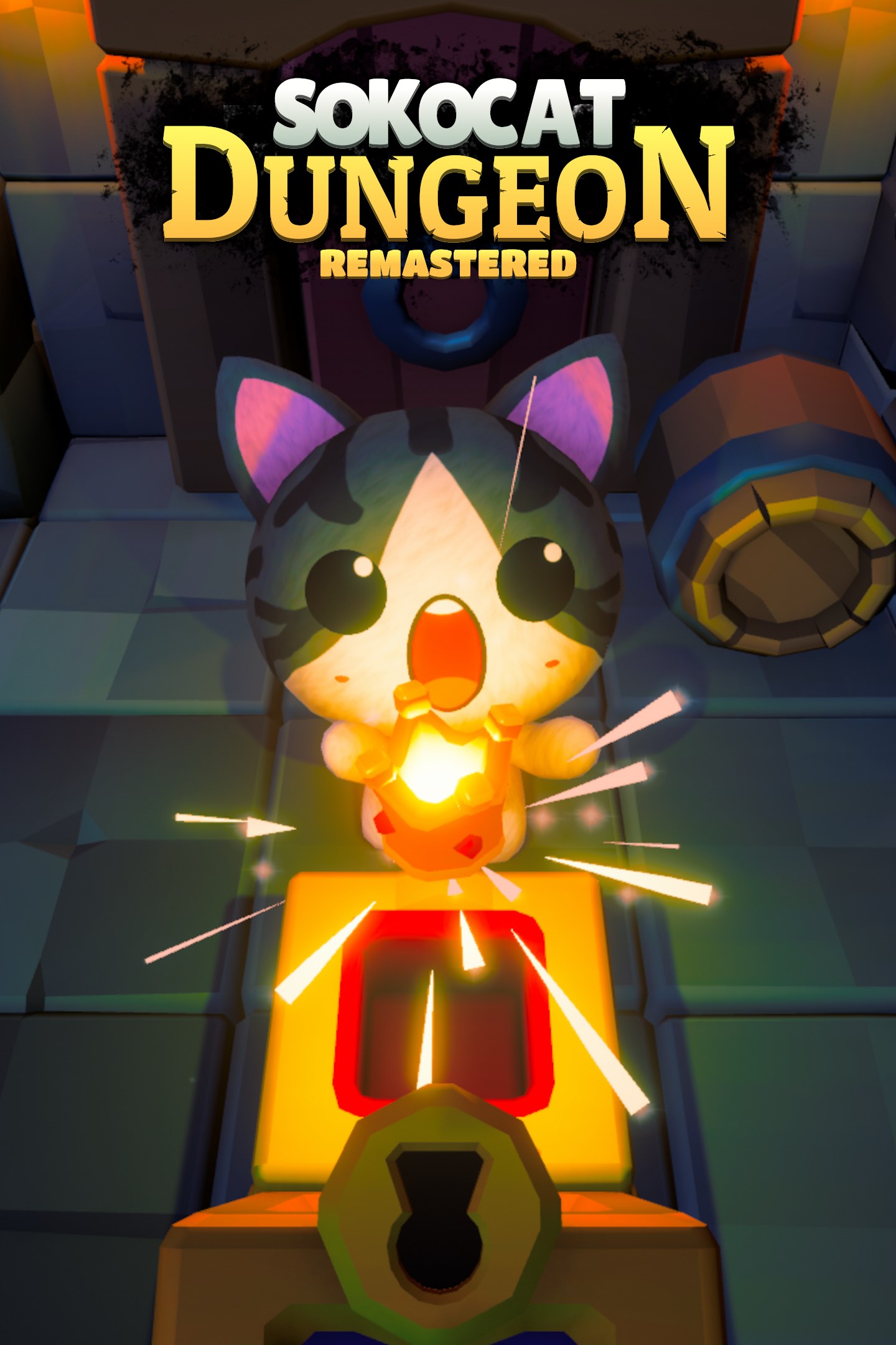 Lådbild av Sokocat: Dungeon - Remastered