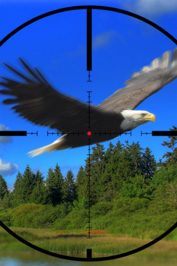 Wild American Hunt