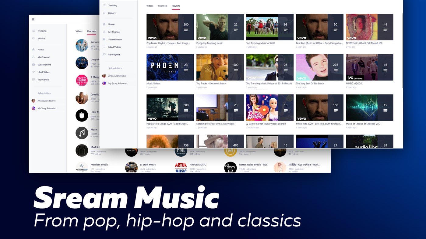 #2. YouPlay - Video & Music Player (Windows) Ved: Lion Group