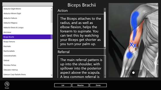 Muscle Trigger Points screenshot 3