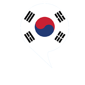 buy korean microsoft store