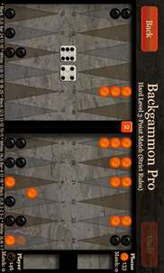 Backgammon Pro+ screenshot 7