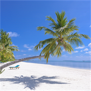 Buy Tropical Beach 4k Live Wallpaper - Microsoft Store en-IN