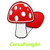 CercaFunghi