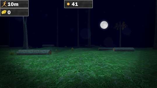 Forest Run 3 screenshot 2