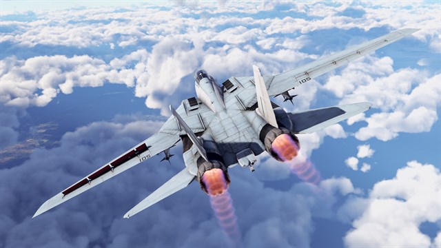 War Thunder - F-14D Bundle screenshot 2