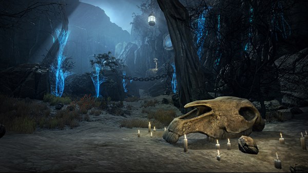 Caligo — 7