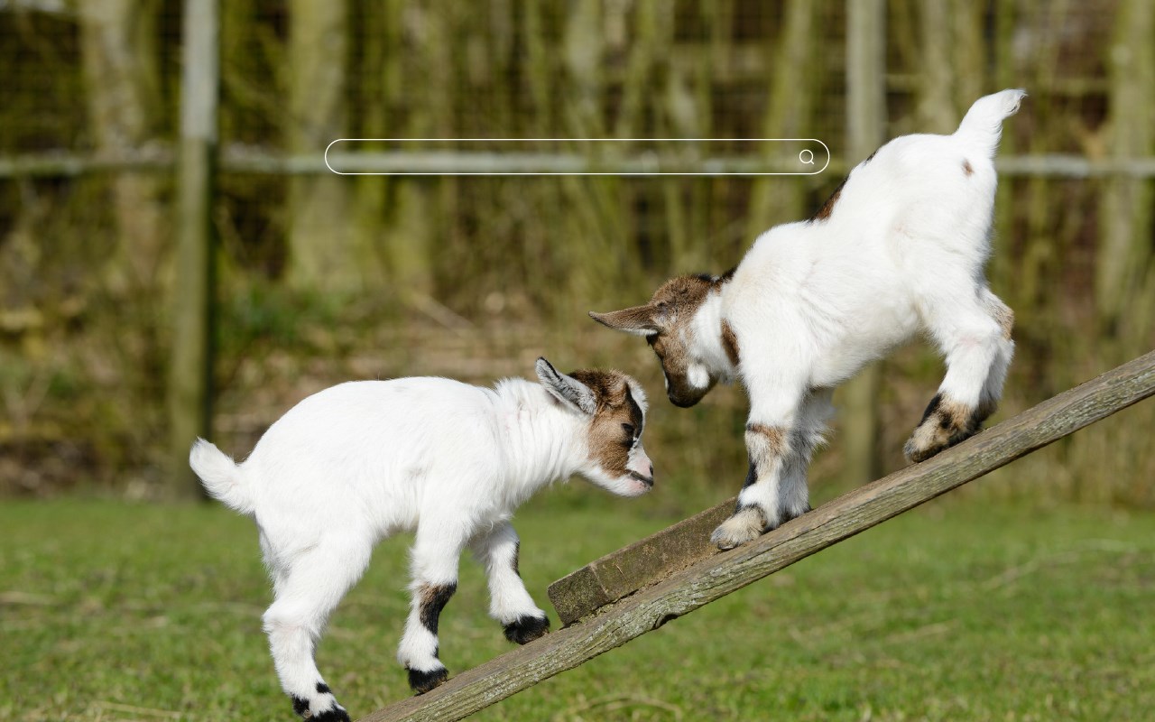 Funny Goats HD Wallpapers New Tab Theme