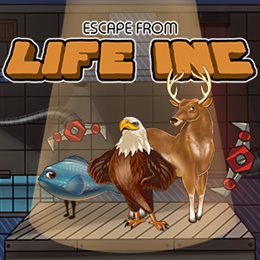 Aperçu Escape from Life Inc