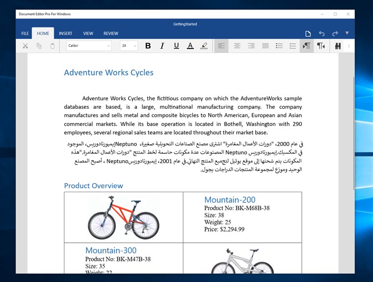 Document Editor Pro For Windows_1