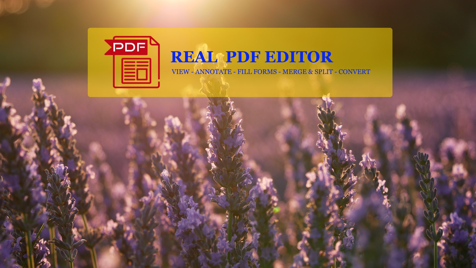 Recevoir Real Pdf Editor Microsoft Store Fr Fr