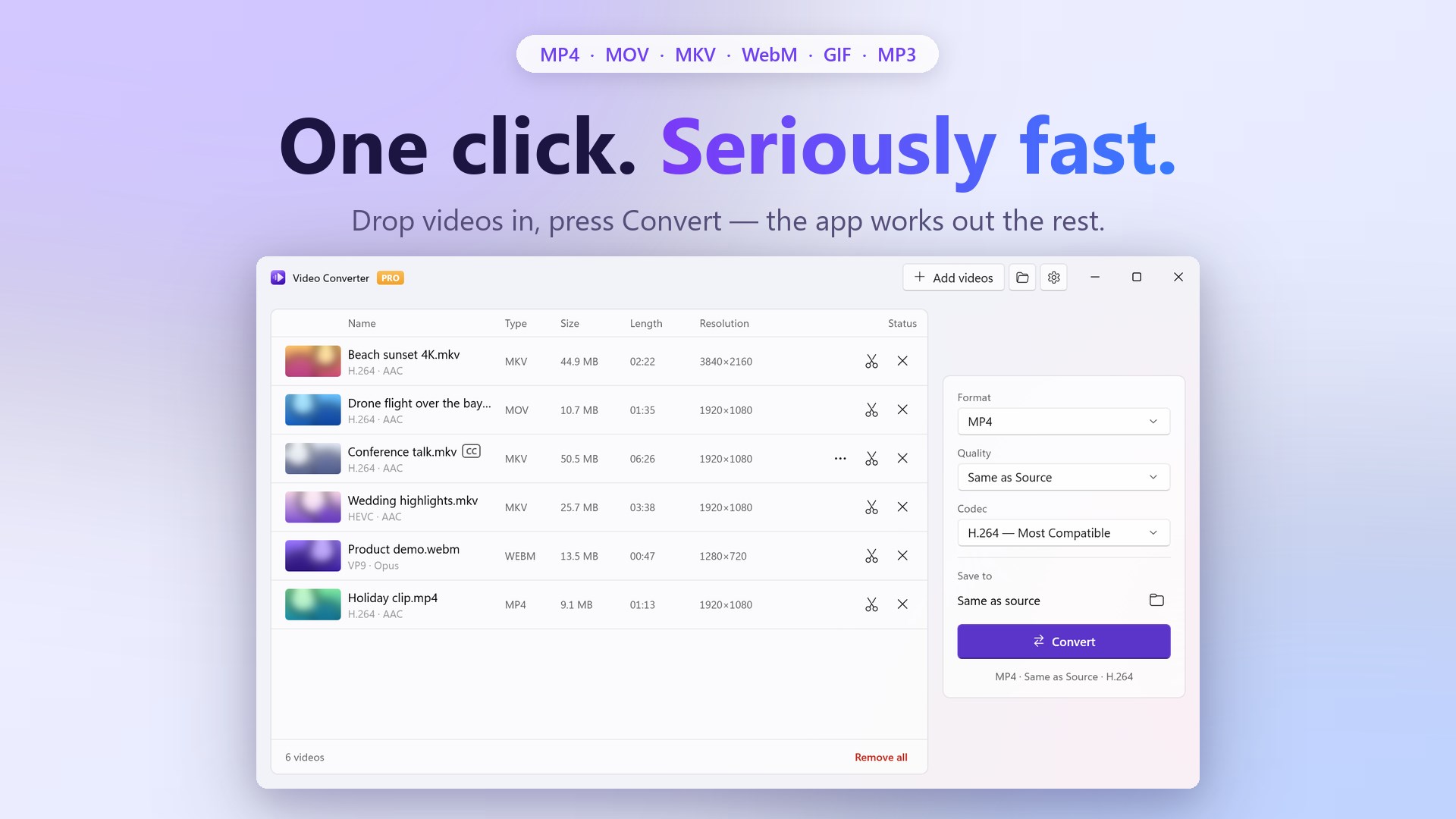 Video Converter - Any Video Converter screenshot