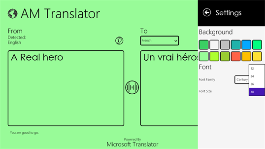 AM Translator screenshot 6