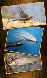 Trout Fly Fishing - Fly Tying screenshot 5