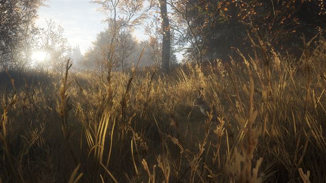 theHunter: Call of the Wild™ - Windows 10 screenshot 7