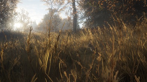 theHunter: Call of the Wild™