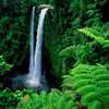 Waterfall Wallpaper